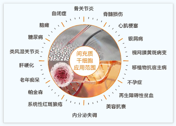 68047ed56a1b824871b9a41ceb2e0fe4.png